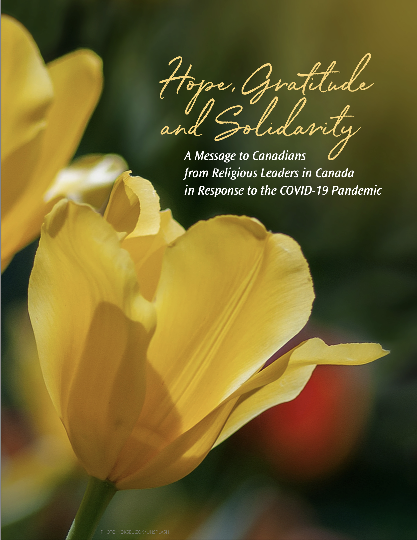 Hope, Gratitude and Solidarity Cover