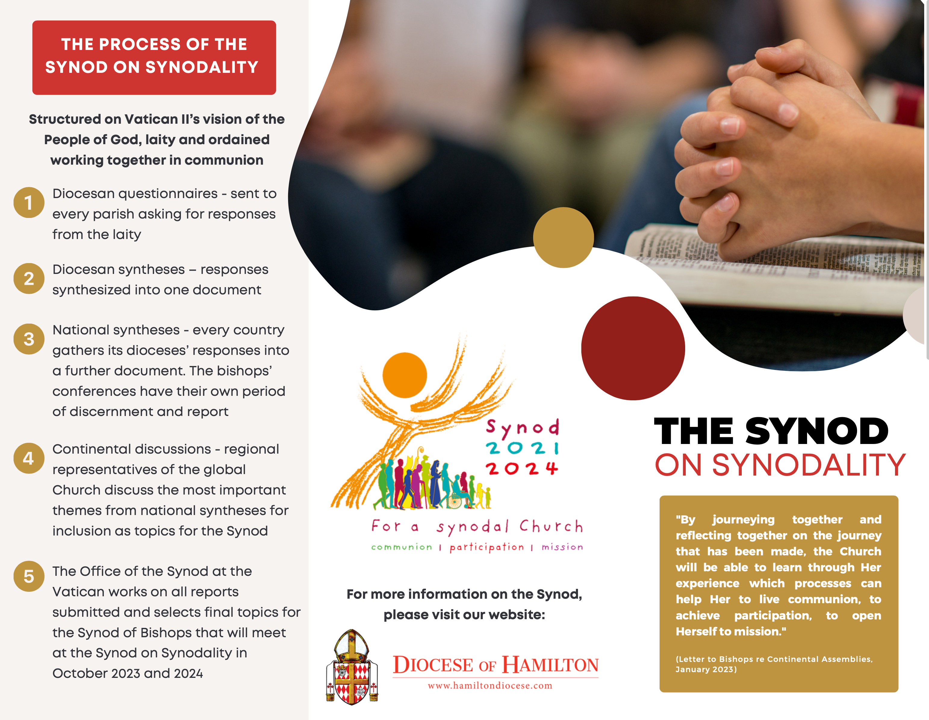 Preview of brochure on The Synod on Synodality