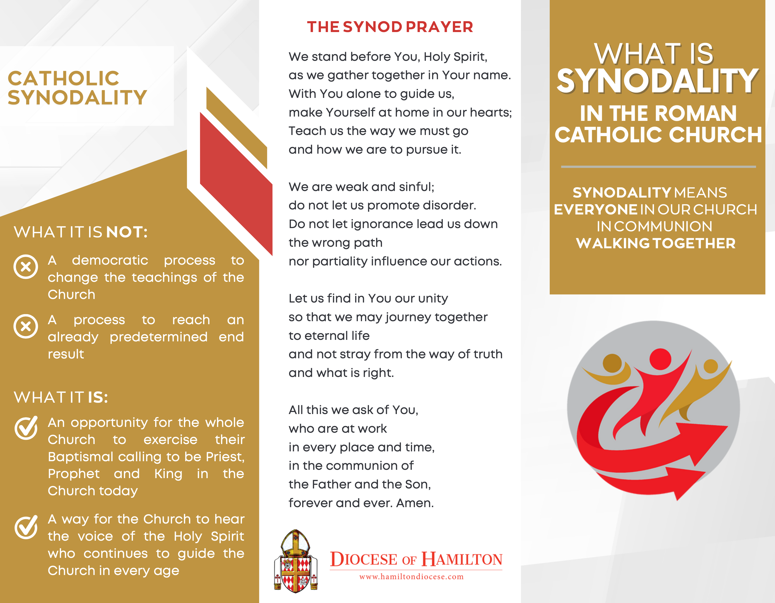 Preview of brochure on What is Synodality