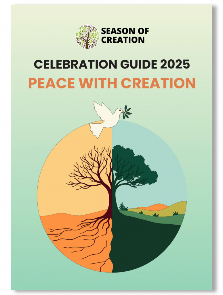 SOC Celebration Guide 2025