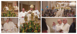 Highlights from the 2025 Mass of Chrism