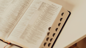 SEVENTH SUNDAY OF THE WORD OF GOD